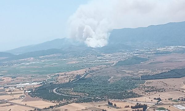 İzmir'de orman yangını!